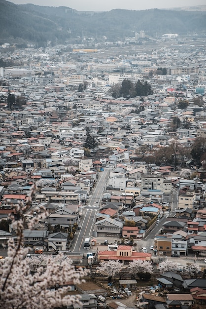 Experience the Vibrant Culture and Mouthwatering Cuisine of Mexico's Bustling Border City