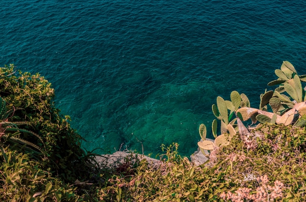 Exploring the Enchanting West Coast of Sardinia: Flamingos, Black Rice, and Candlelit Festivities