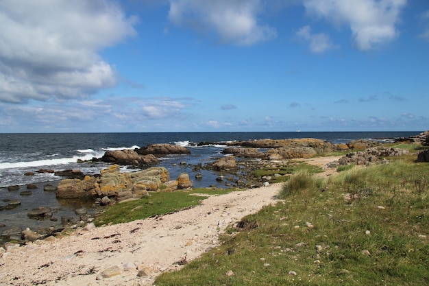 Exploring the Scenic Gower Beaches from Our Elegant Mumbles Cottage