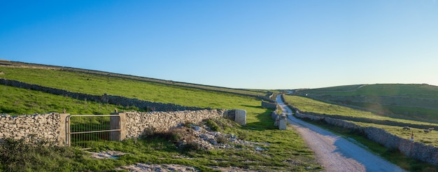 Exploring the Wonders of Dartmoor in Devon